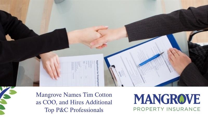 Mangrove Names Tim Cotton as COO, and Hires Additional Top P&C Professionals