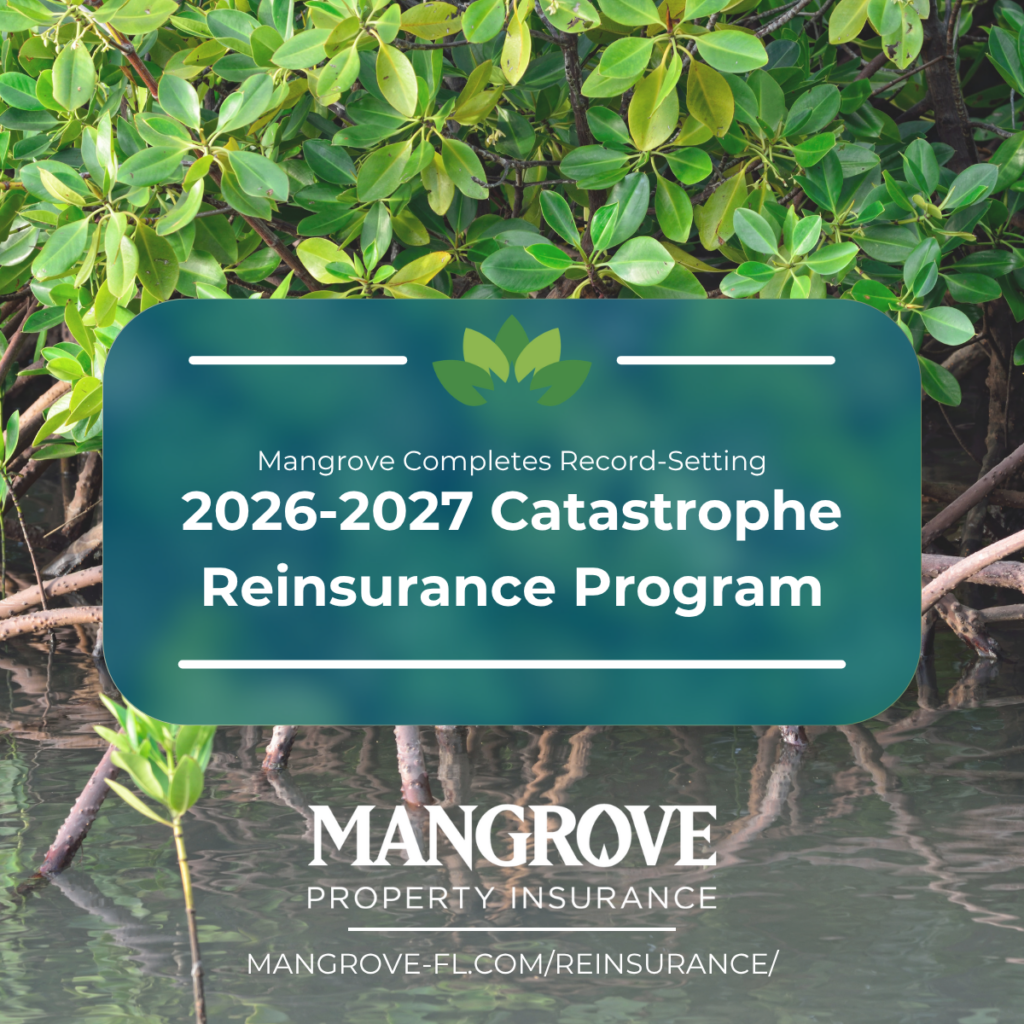 2026-2027 Catastrophe Reinsurance Program